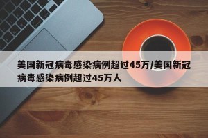 美国新冠病毒感染病例超过45万/美国新冠病毒感染病例超过45万人