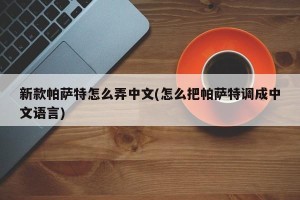 新款帕萨特怎么弄中文(怎么把帕萨特调成中文语言)