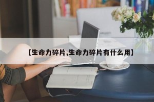 【生命力碎片,生命力碎片有什么用】