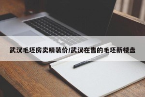 武汉毛坯房卖精装价/武汉在售的毛坯新楼盘