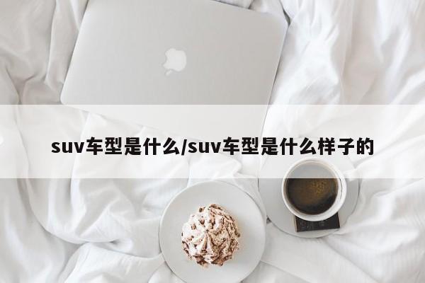 suv车型是什么/suv车型是什么样子的