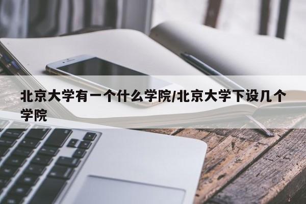 北京大学有一个什么学院/北京大学下设几个学院